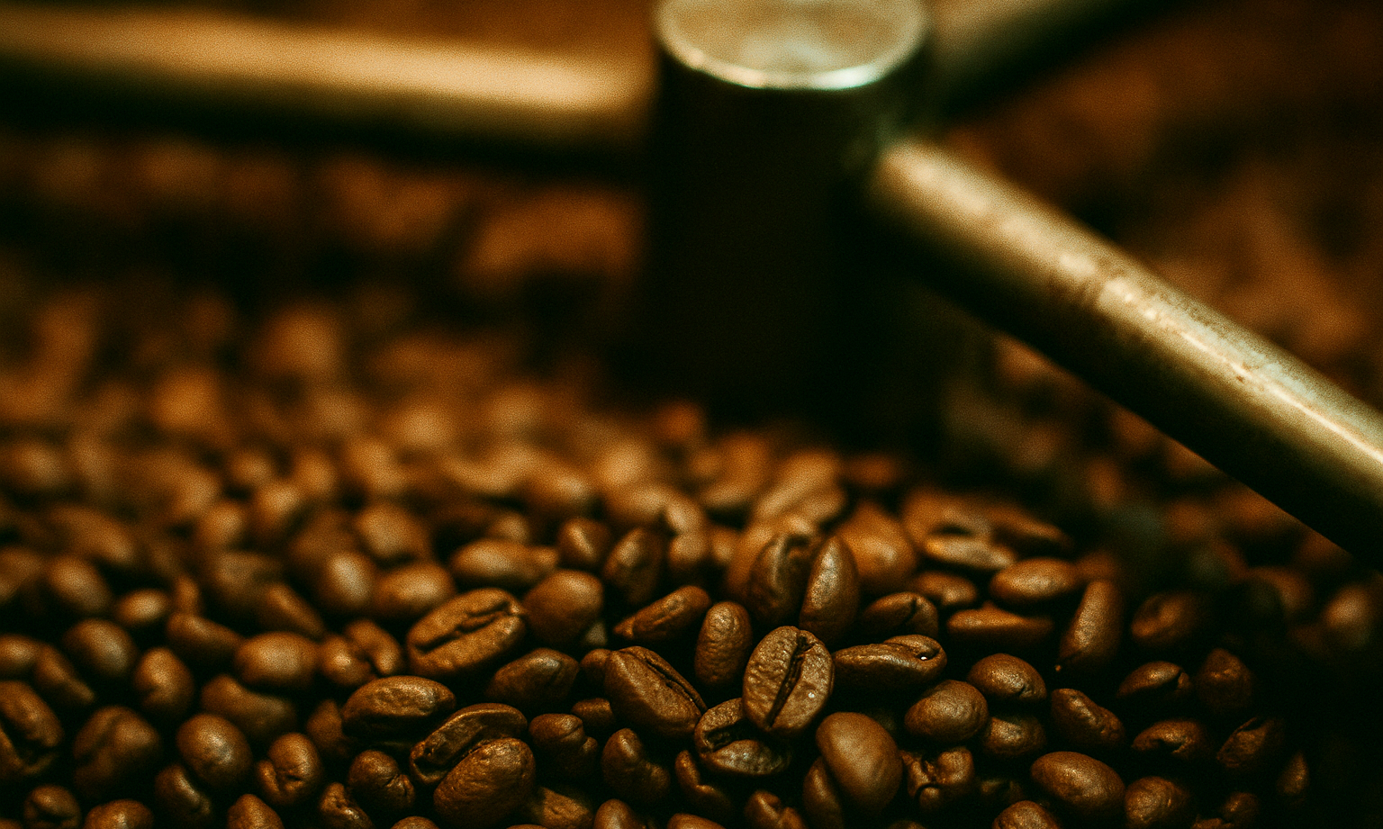 Roasted coffee beans with a metal grinder in the background